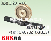 AGDL雙導(dǎo)程蝸輪